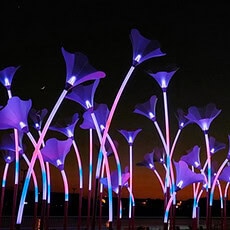 PETUNIA FLOWER LIGHTS GRAMOPHONE 3