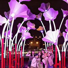 PETUNIA FLOWER LIGHTS GRAMOPHONE 4