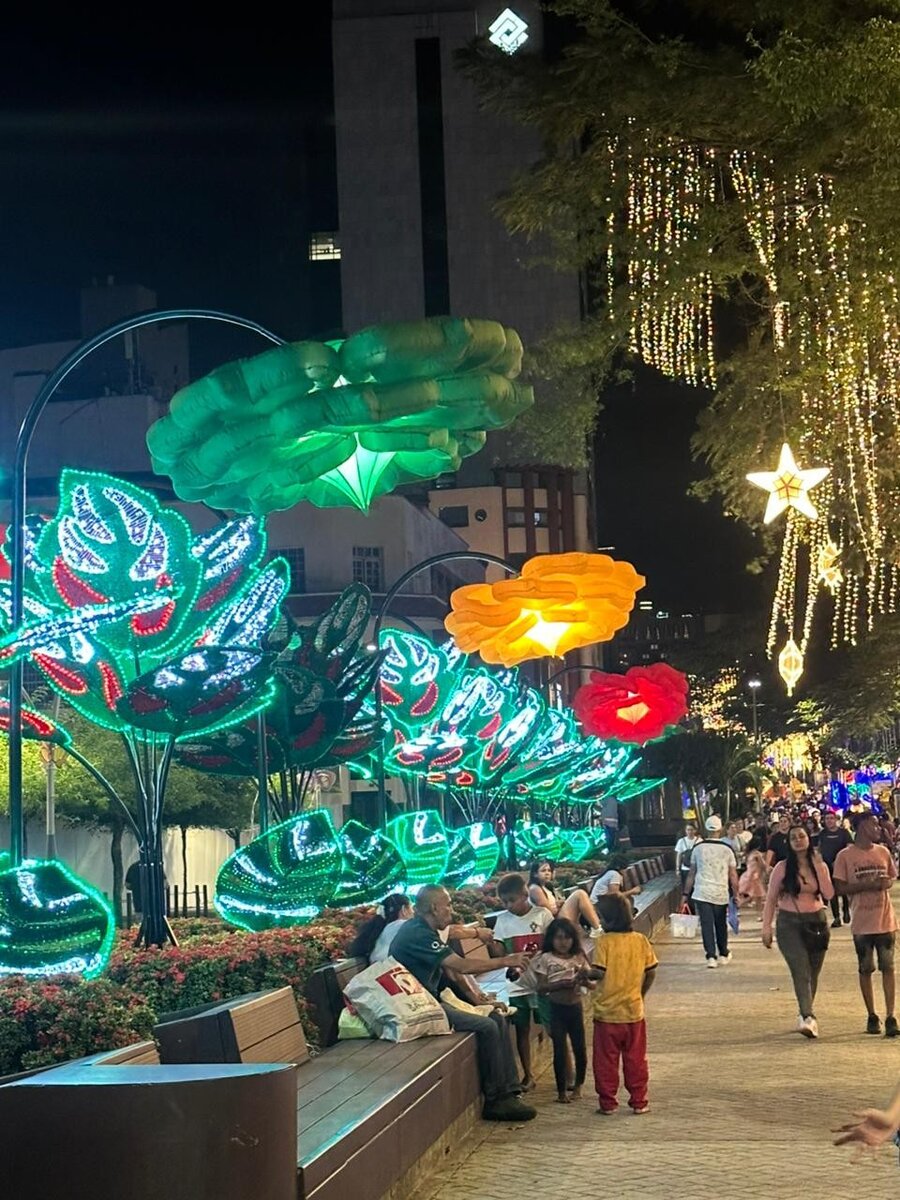 Interactive Flower Sensor 1 1
