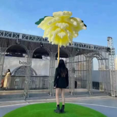 Interactive Flower Sensor 1
