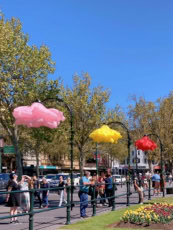 Interactive Flower Sensor 5